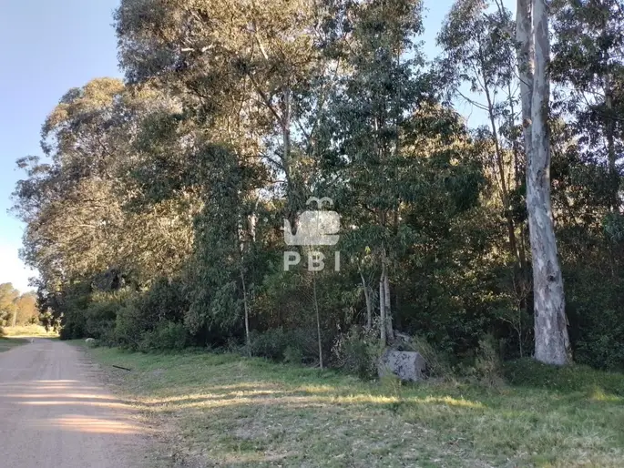 imagen  de la propiedad 289302