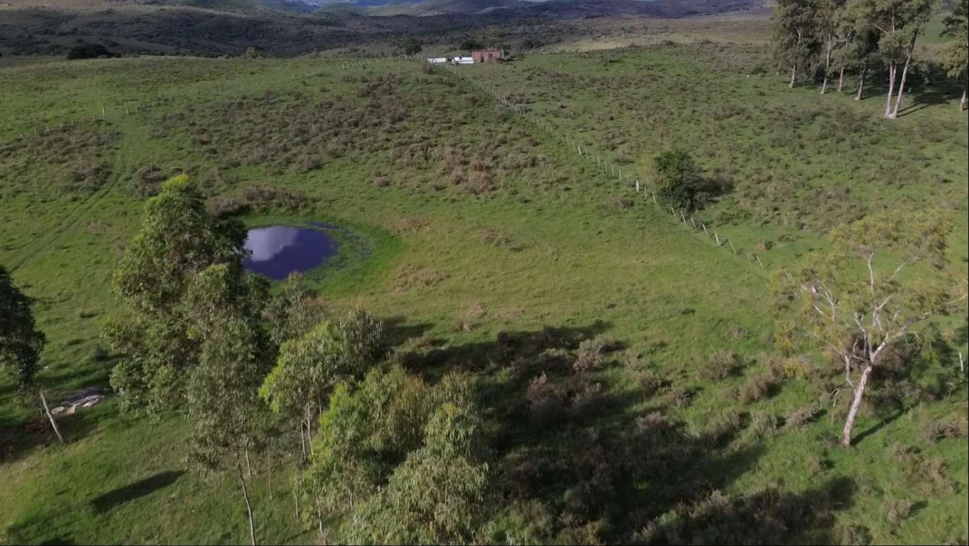 Campo en Isla Patrulla, propiedad 267045 -Imagen 10