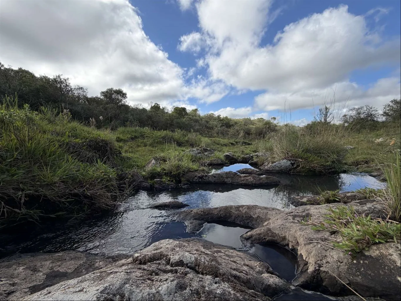 Campo en Isla Patrulla, propiedad 267045 -Imagen 11