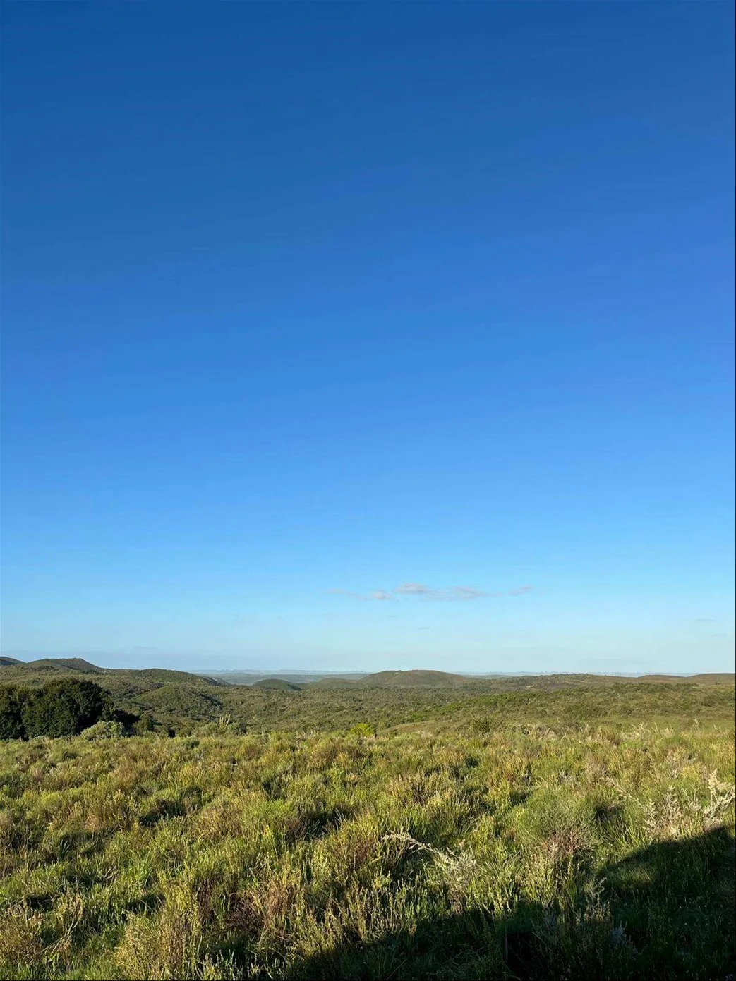 Campo en Isla Patrulla, propiedad 267045 -Imagen 17