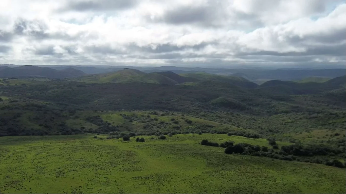 Campo en Isla Patrulla, propiedad 267045 -Imagen 3