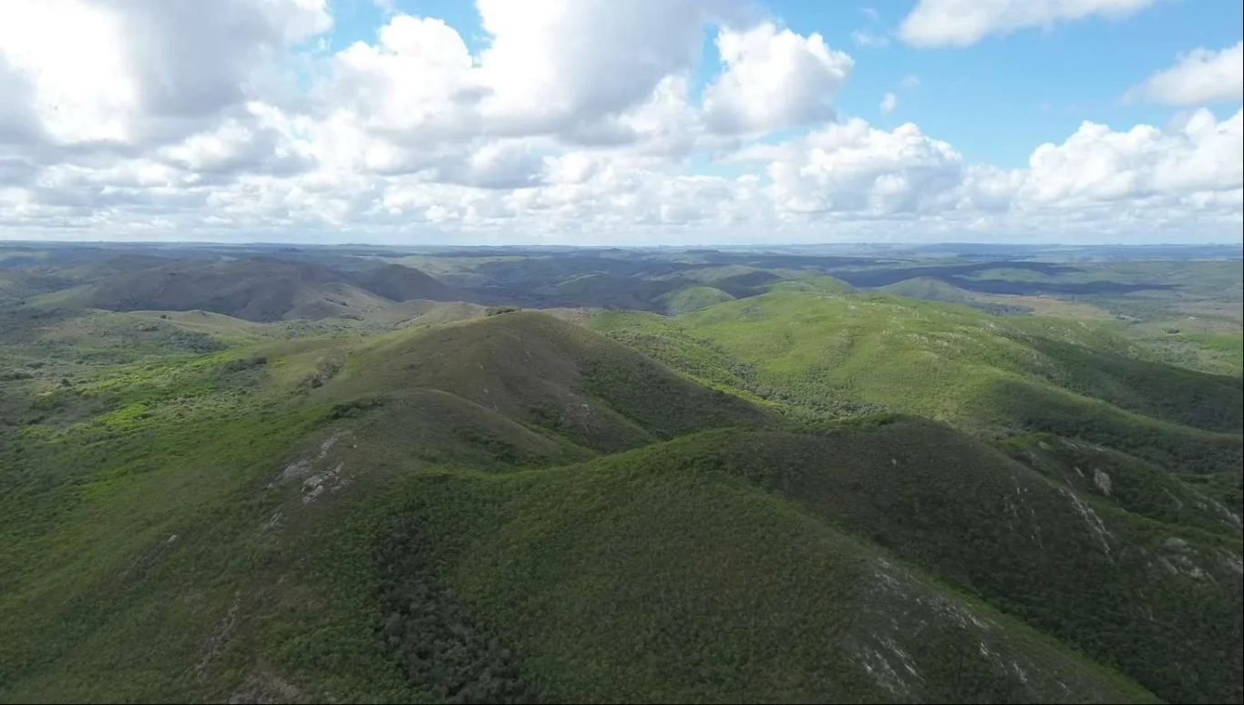 Campo en Isla Patrulla, propiedad 267045 -Imagen 4