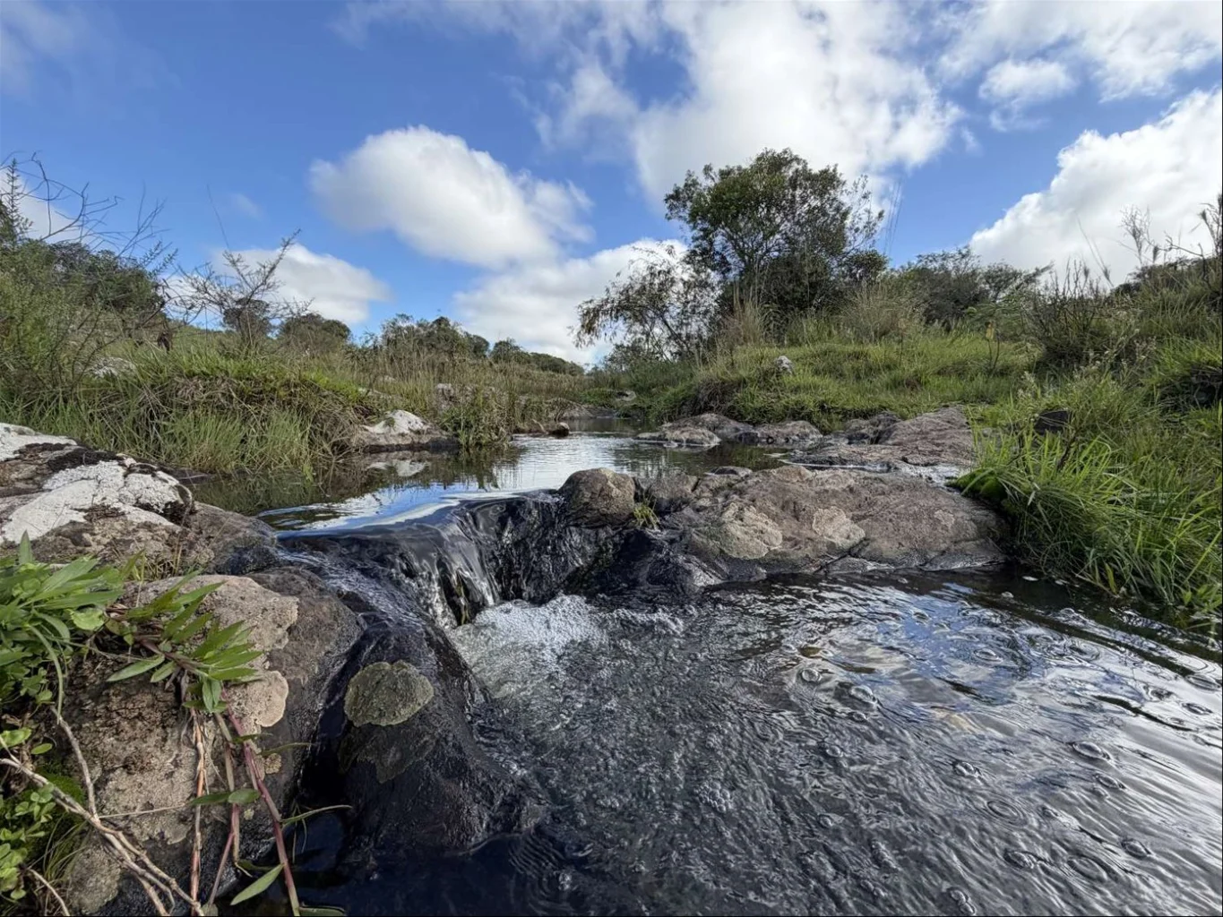 Campo en Isla Patrulla, propiedad 267045 -Imagen 6