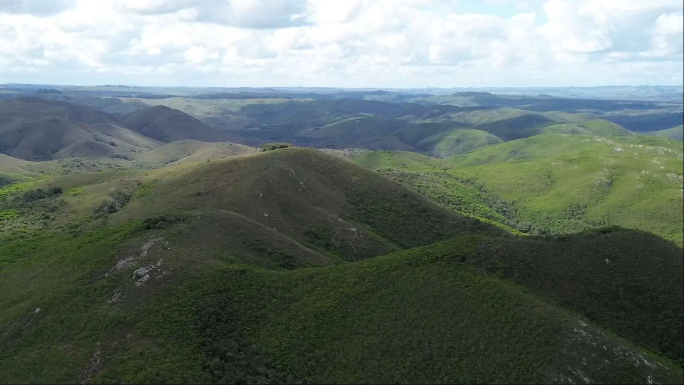 Campo en Isla Patrulla, propiedad 267045 -Imagen 9