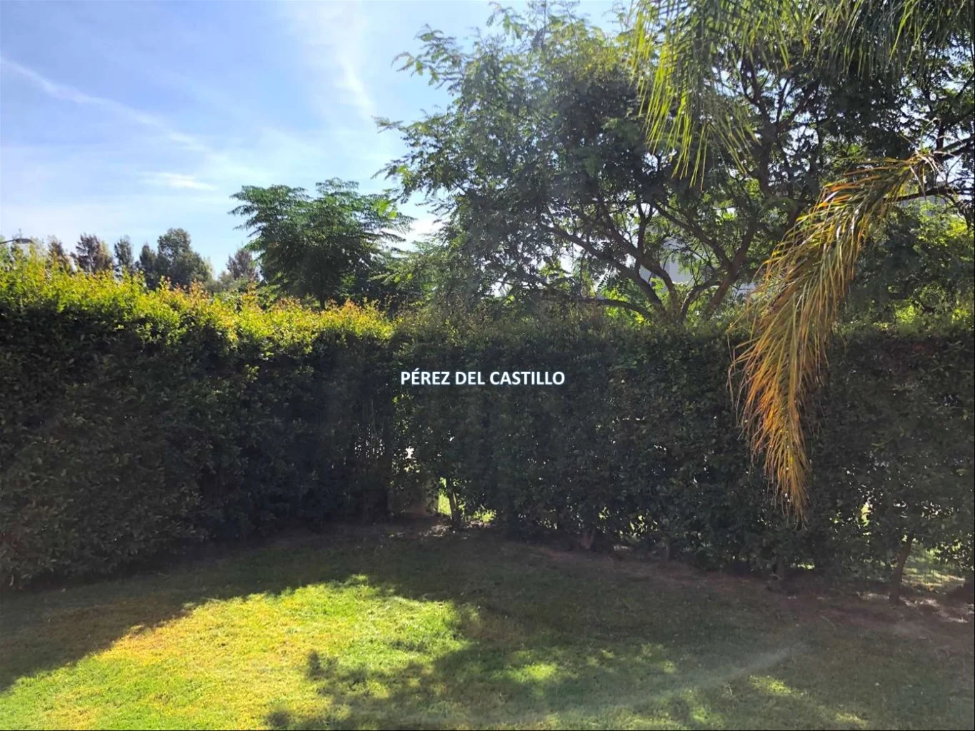 Casa en San Nicolás, propiedad 255970 -Imagen 6