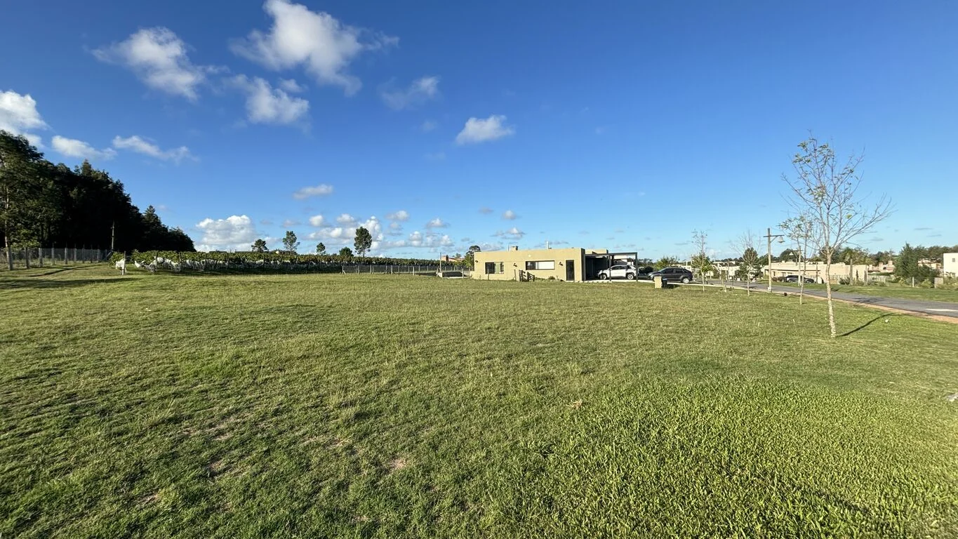 Terreno en Viñedos de la Tahona, propiedad 163404 -Imagen 1