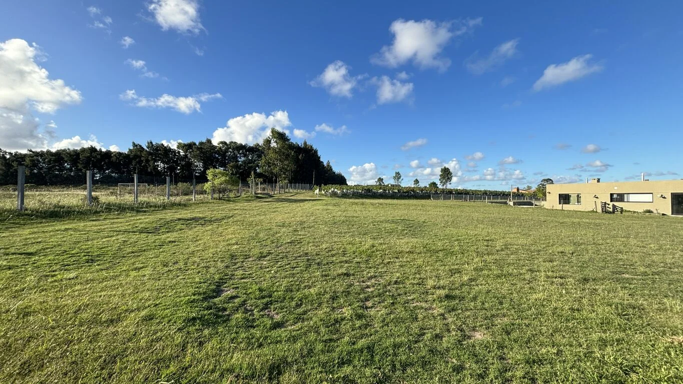 Terreno en Viñedos de la Tahona, propiedad 163404 -Imagen 3