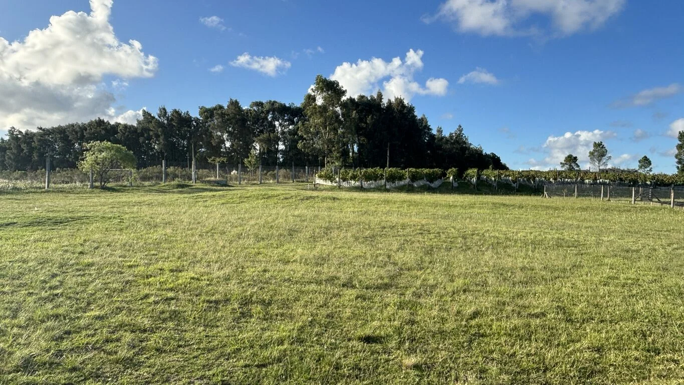 Terreno en Viñedos de la Tahona, propiedad 163404 -Imagen 5