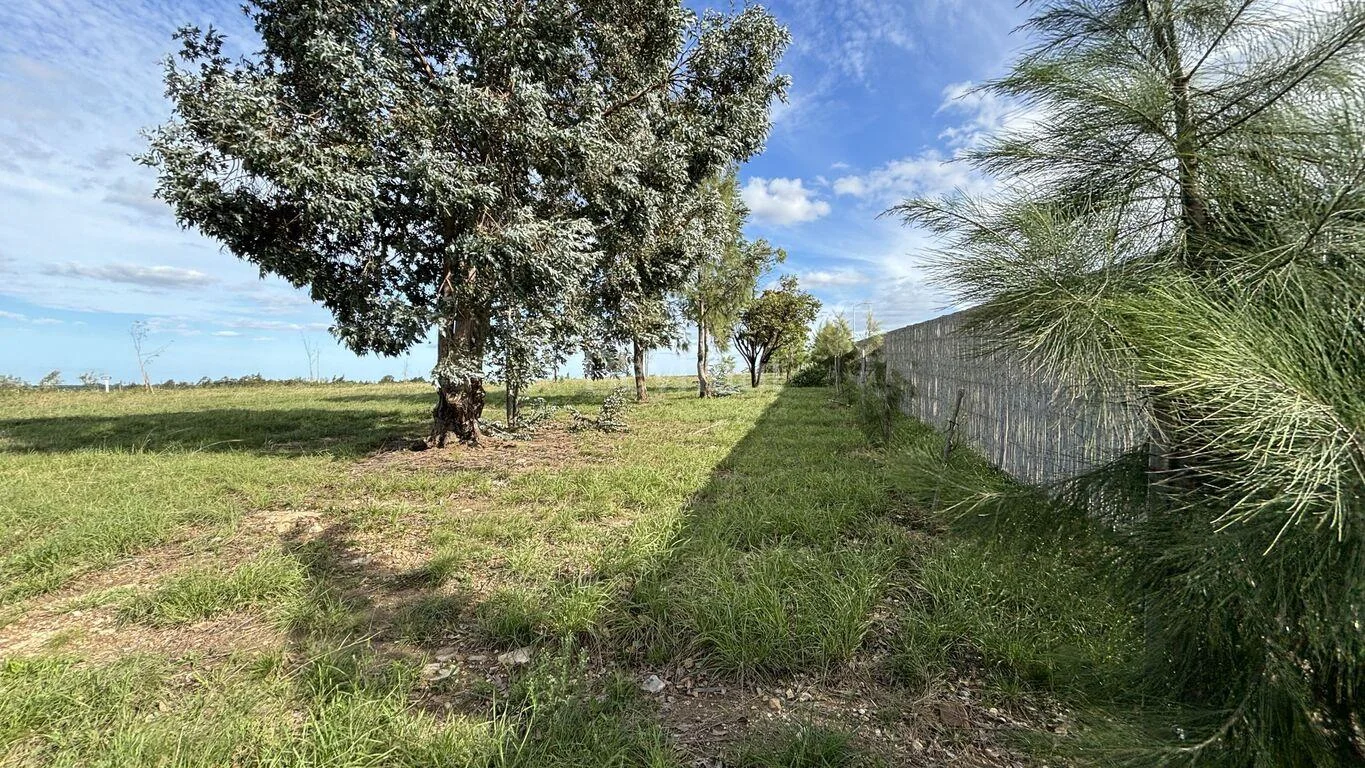 Terreno en Olivos de los Horneros, propiedad 78128 -Imagen 3