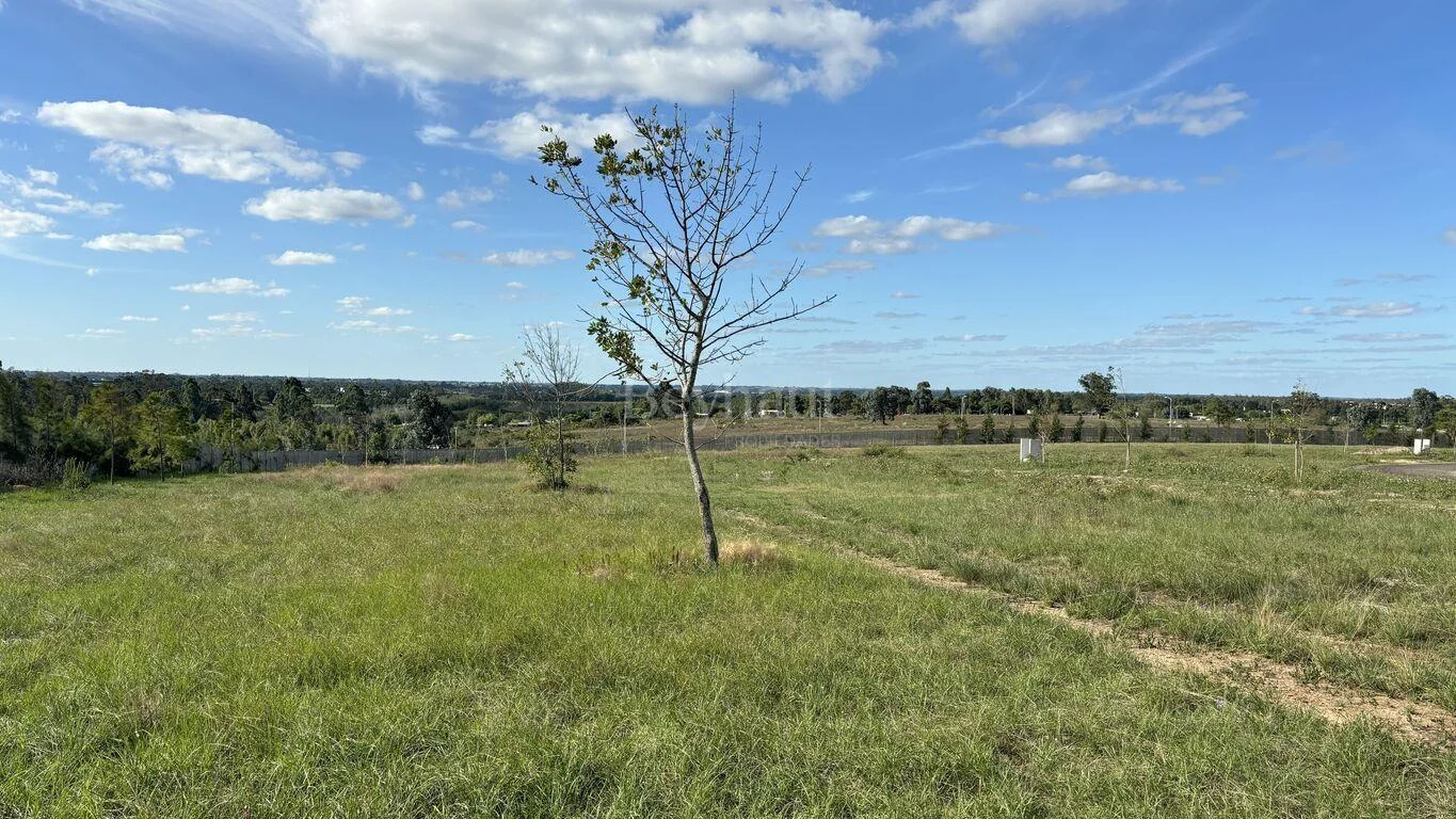 Terreno en Olivos de los Horneros, propiedad 78128 -Imagen 9