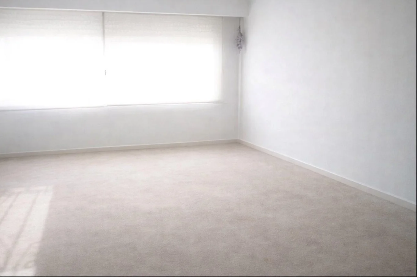 Apartamento en Punta Carretas, propiedad 299872 -Imagen 5