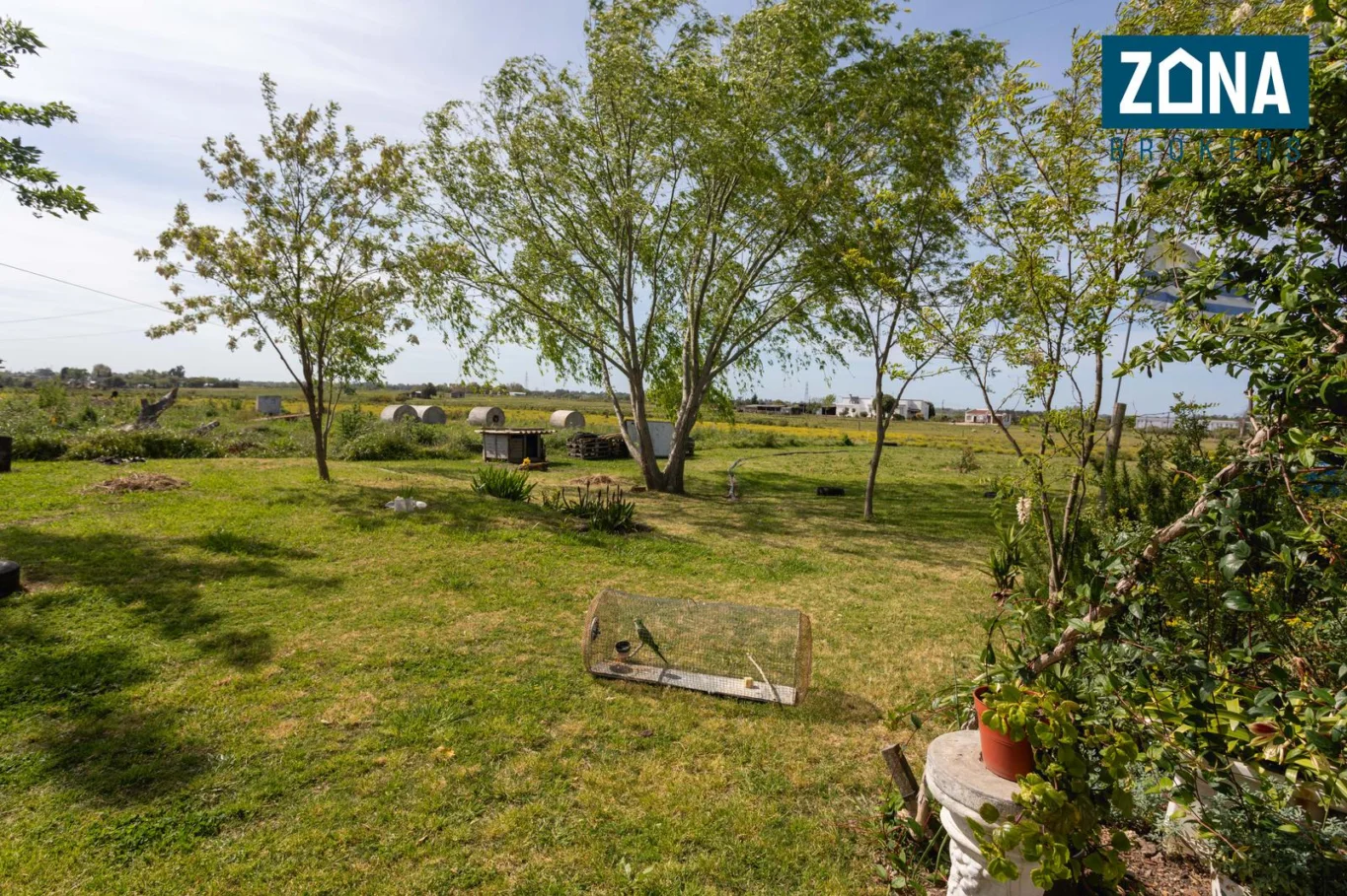 Terreno en Toledo chico, propiedad 260294 -Imagen 11