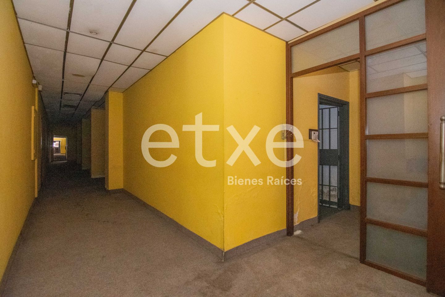 Local en Ciudad Vieja, propiedad 133392 -Imagen 9