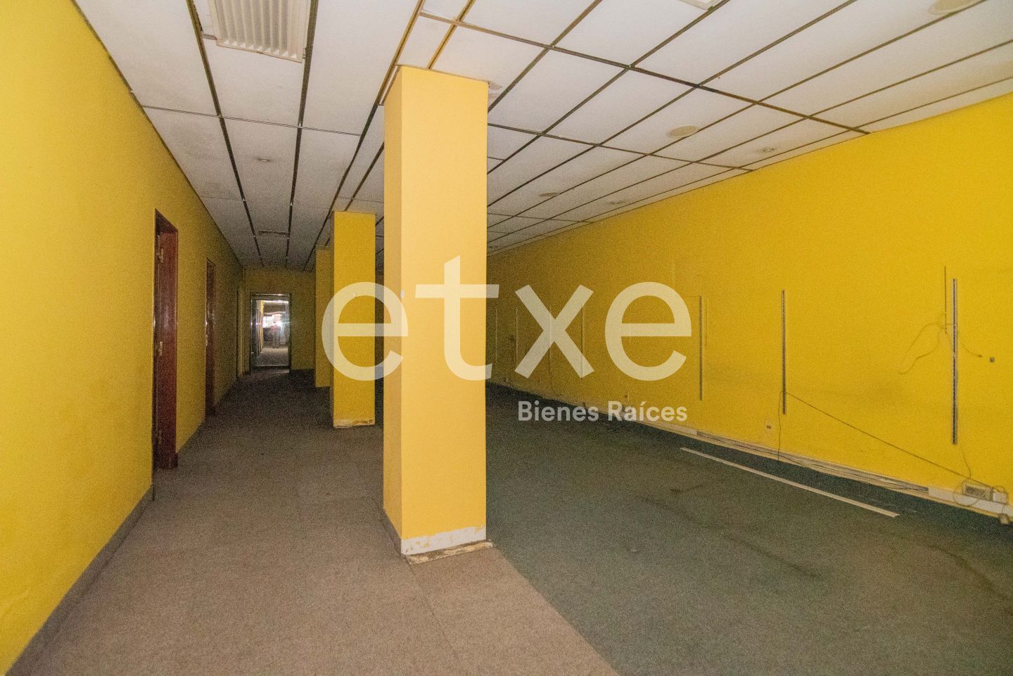 Local en Ciudad Vieja, propiedad 133392 -Imagen 11