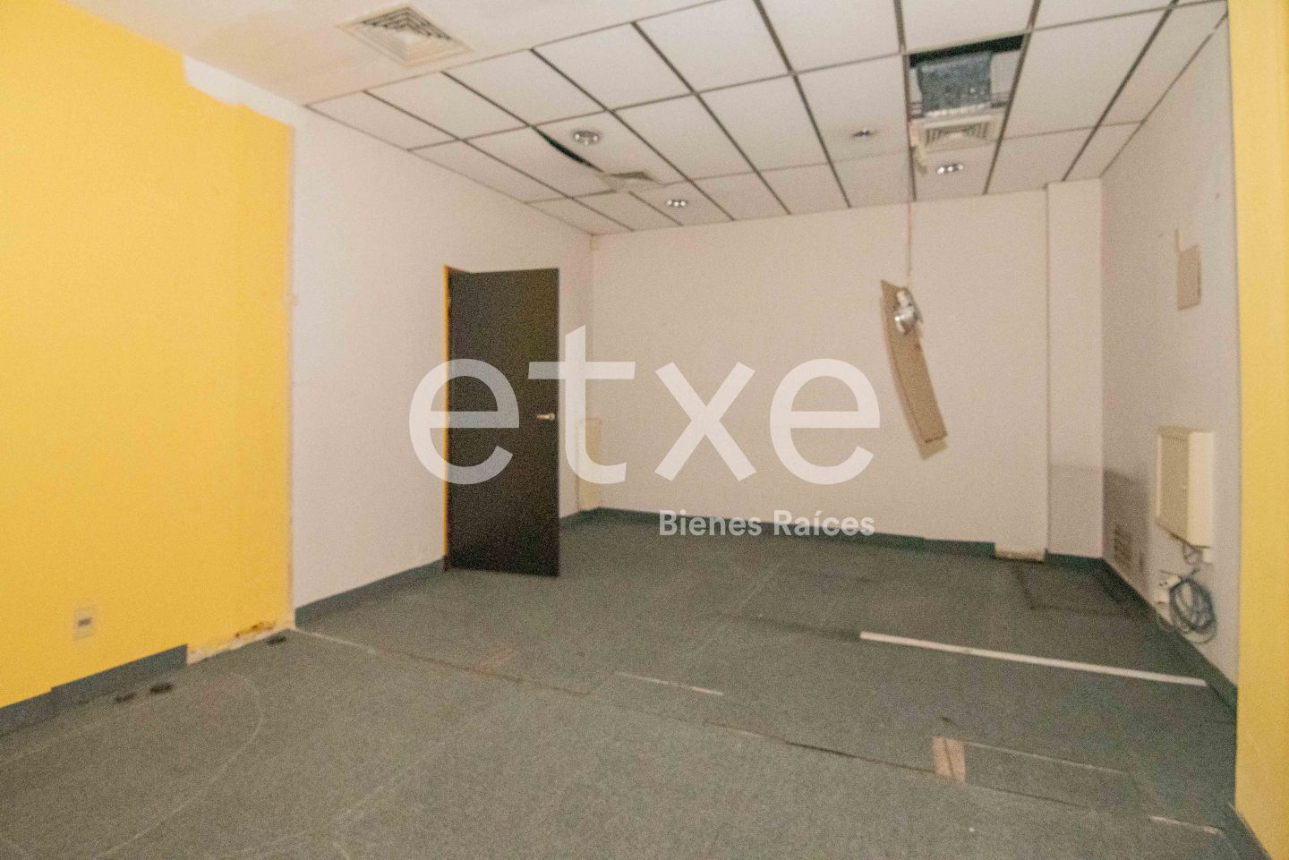 Local en Ciudad Vieja, propiedad 133392 -Imagen 14