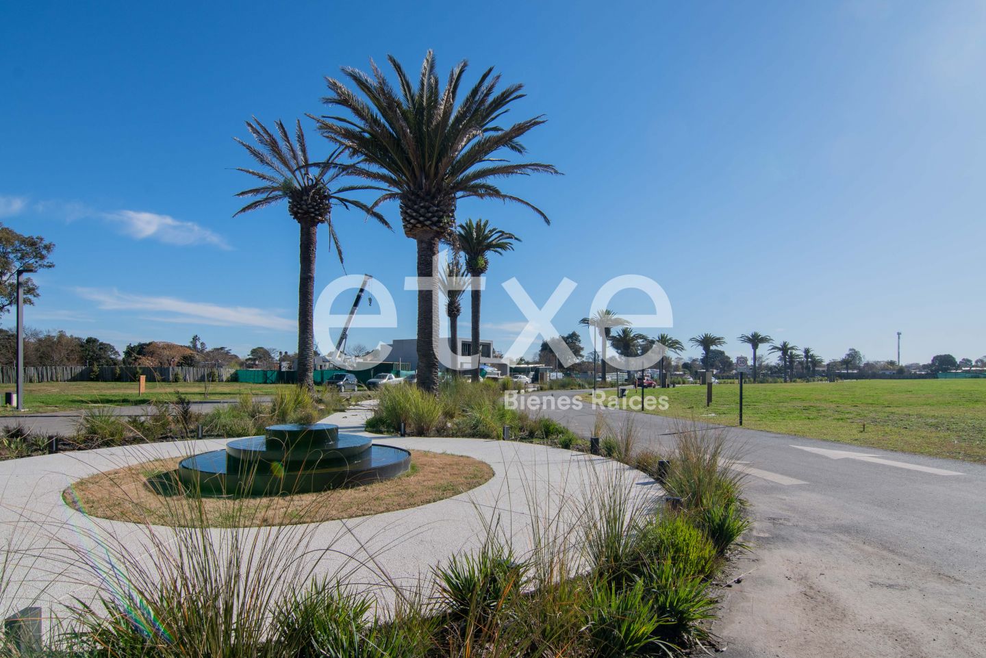 Terreno en Parque Miramar, propiedad 133474 -Imagen 3