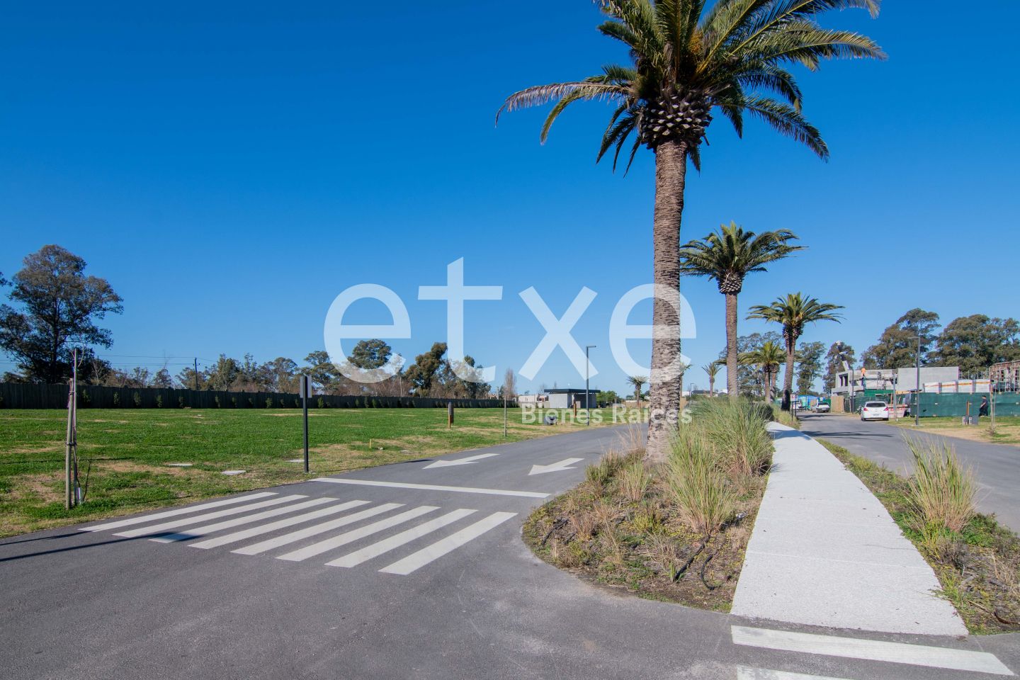Terreno en Parque Miramar, propiedad 133474 -Imagen 6