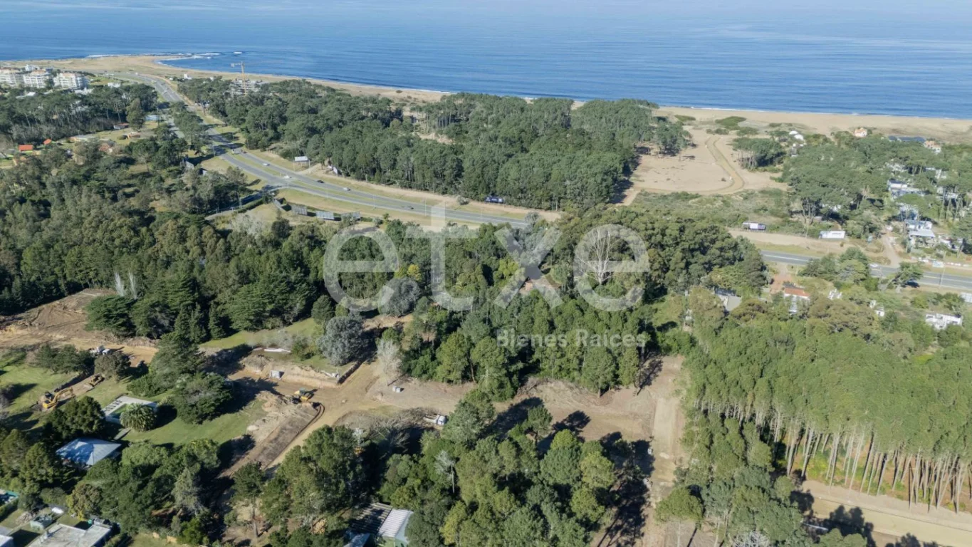 Terreno en Punta Ballena, propiedad 166819 -Imagen 12