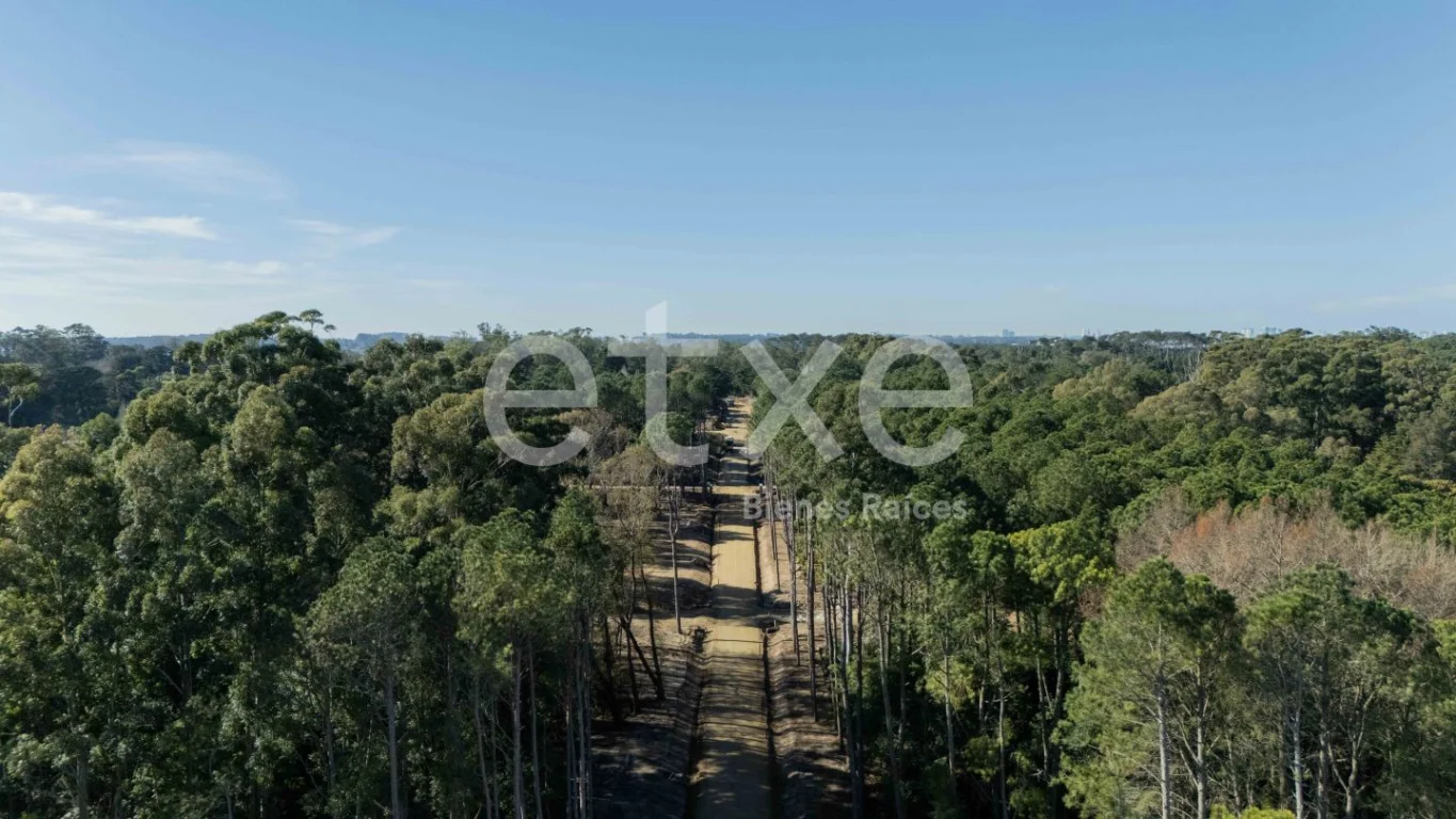 Terreno en Punta Ballena, propiedad 166819 -Imagen 6