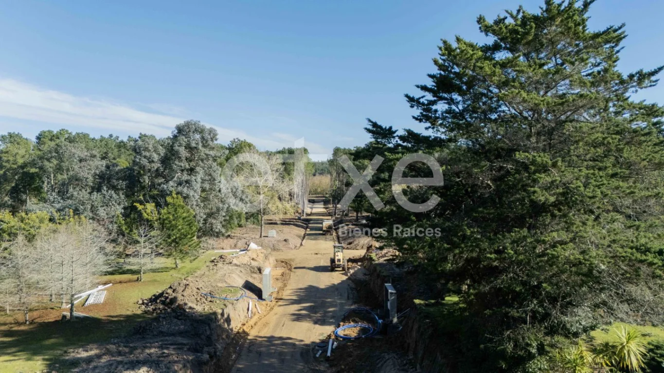 Terreno en Punta Ballena, propiedad 166819 -Imagen 8