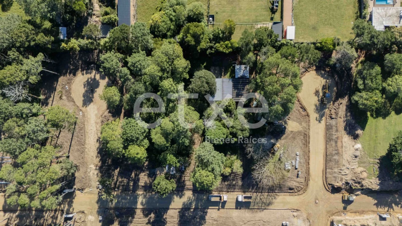 Terreno en Punta Ballena, propiedad 166821 -Imagen 11