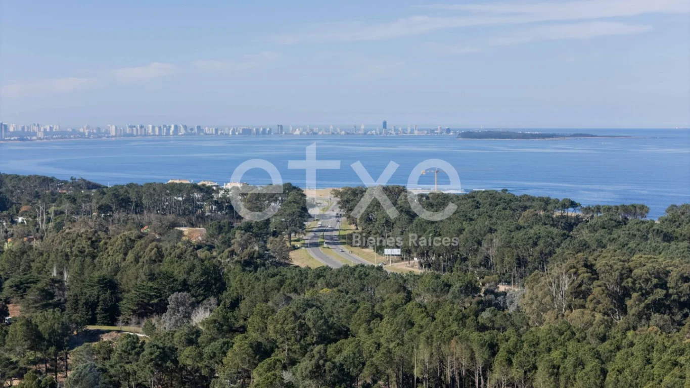 Terreno en Punta Ballena, propiedad 166821 -Imagen 5