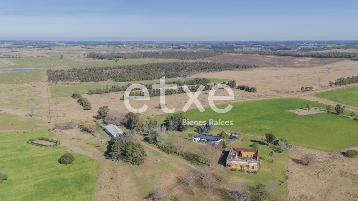Campo en Soca, propiedad 195011 -Imagen 1