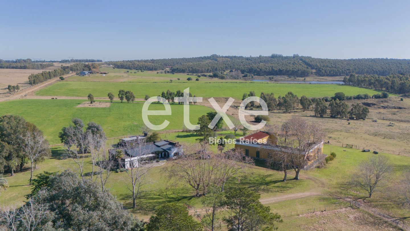 Campo en Soca, propiedad 195011 -Imagen 2