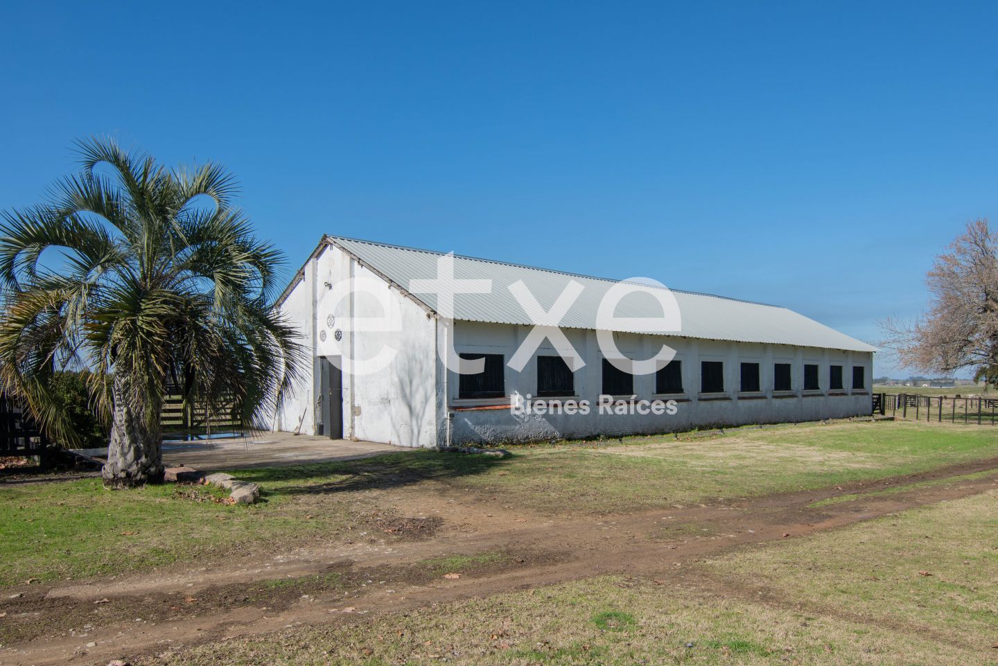 Campo en Soca, propiedad 195011 -Imagen 21