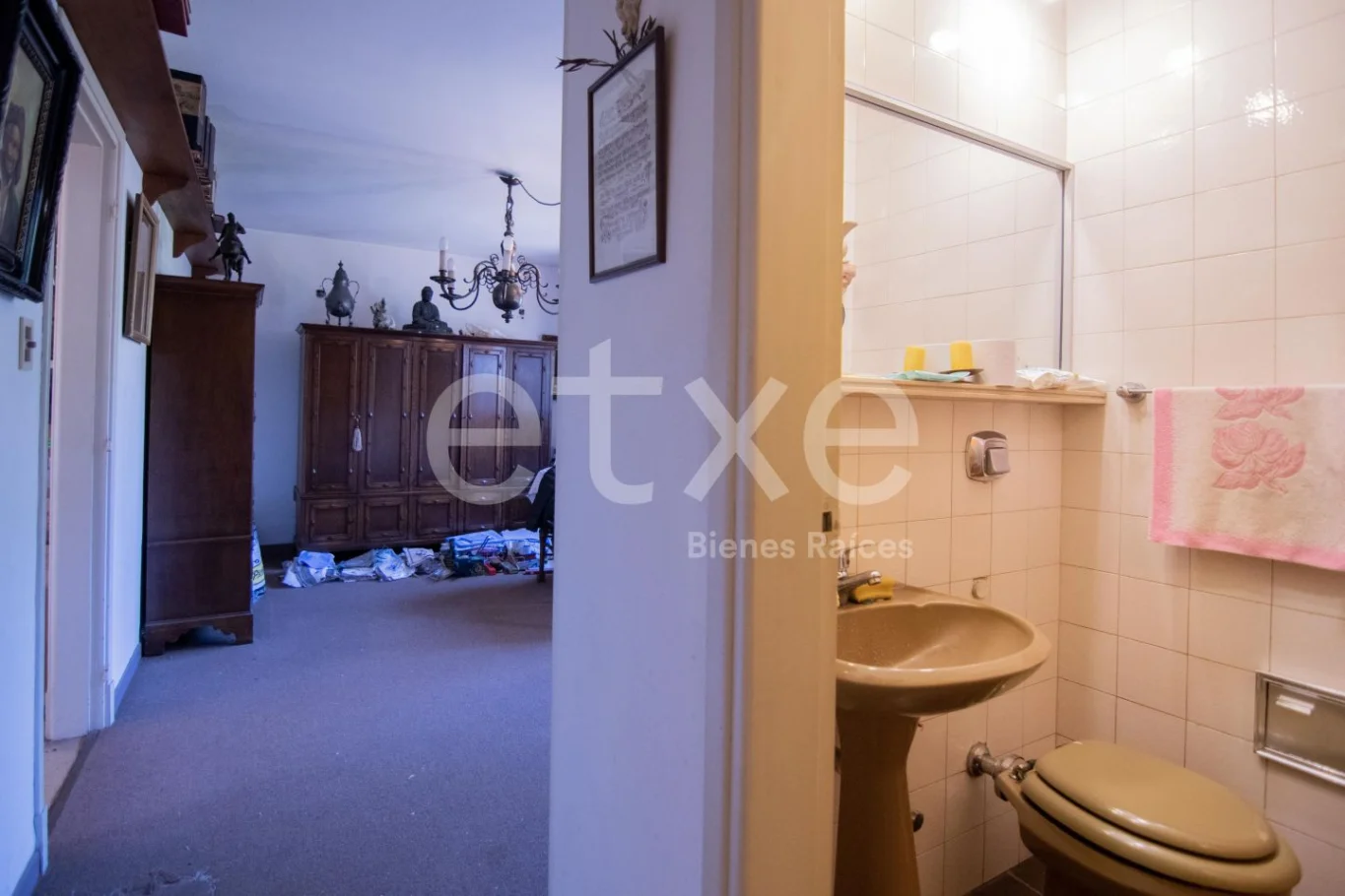 Casa en Punta Gorda, propiedad 253042 -Imagen 8