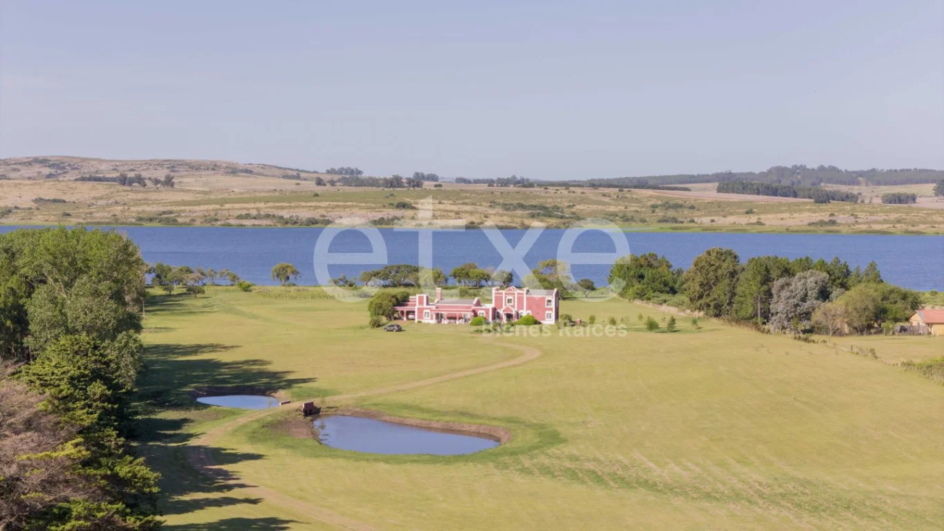Chacra en Punta Ballena, propiedad 263103 -Imagen 2