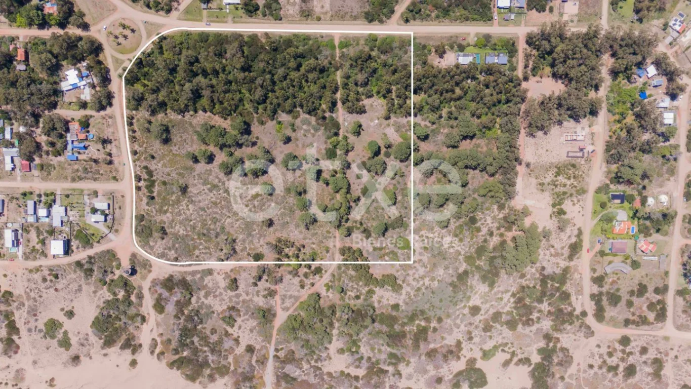 Terreno en Punta Ballena, propiedad 269062 -Imagen 2