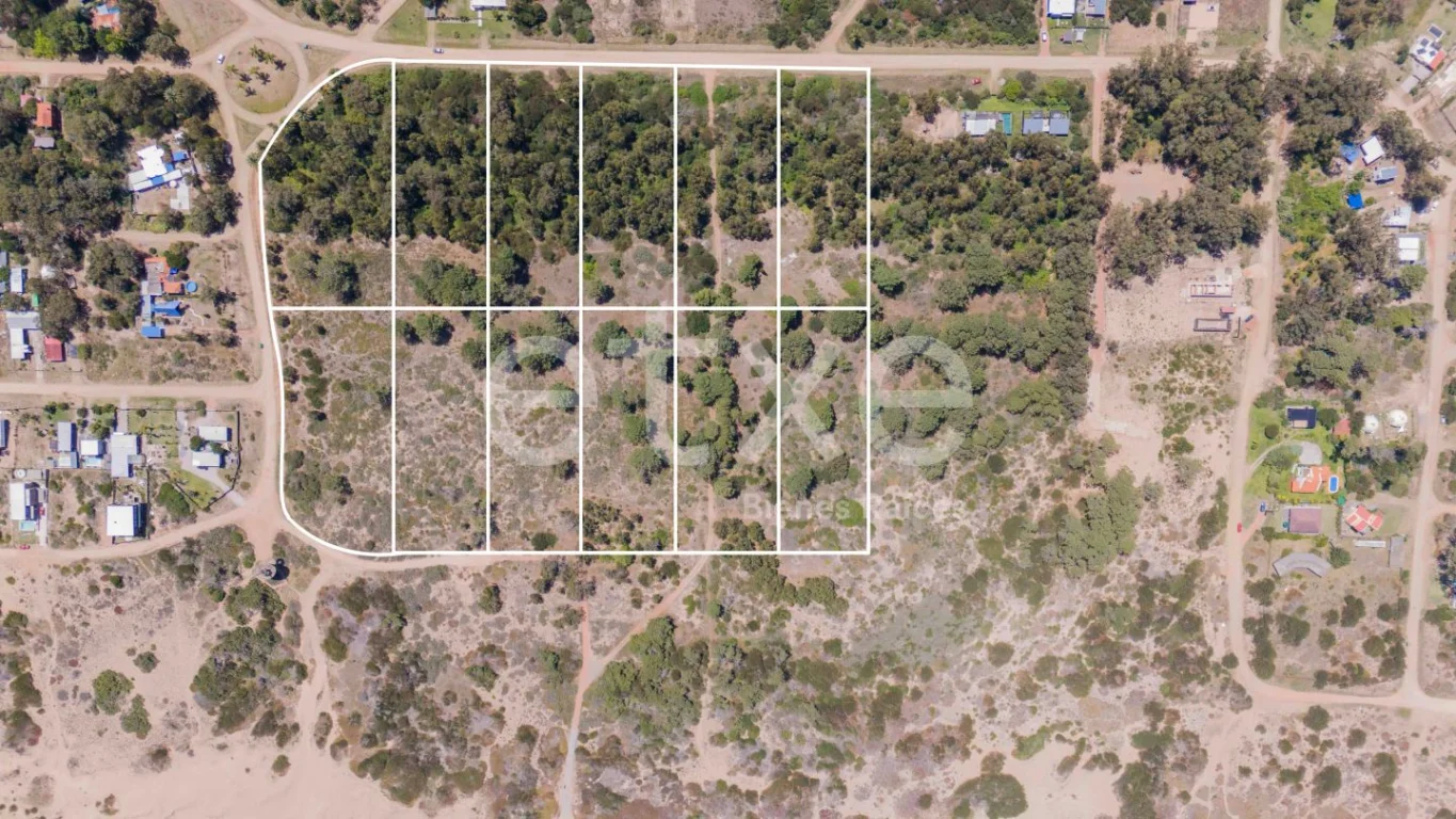 Terreno en Punta Ballena, propiedad 269062 -Imagen 3