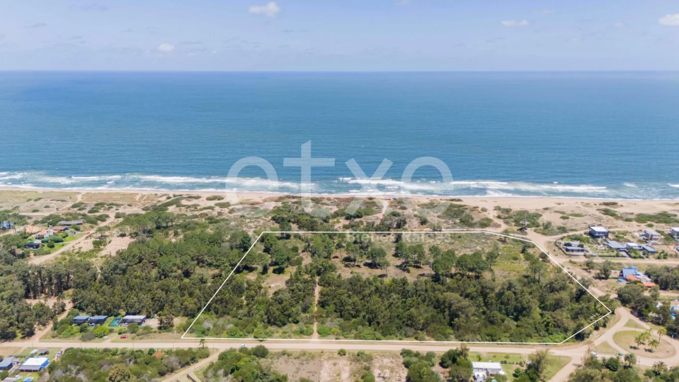 Terreno en Punta Ballena, propiedad 269062 -Imagen 4
