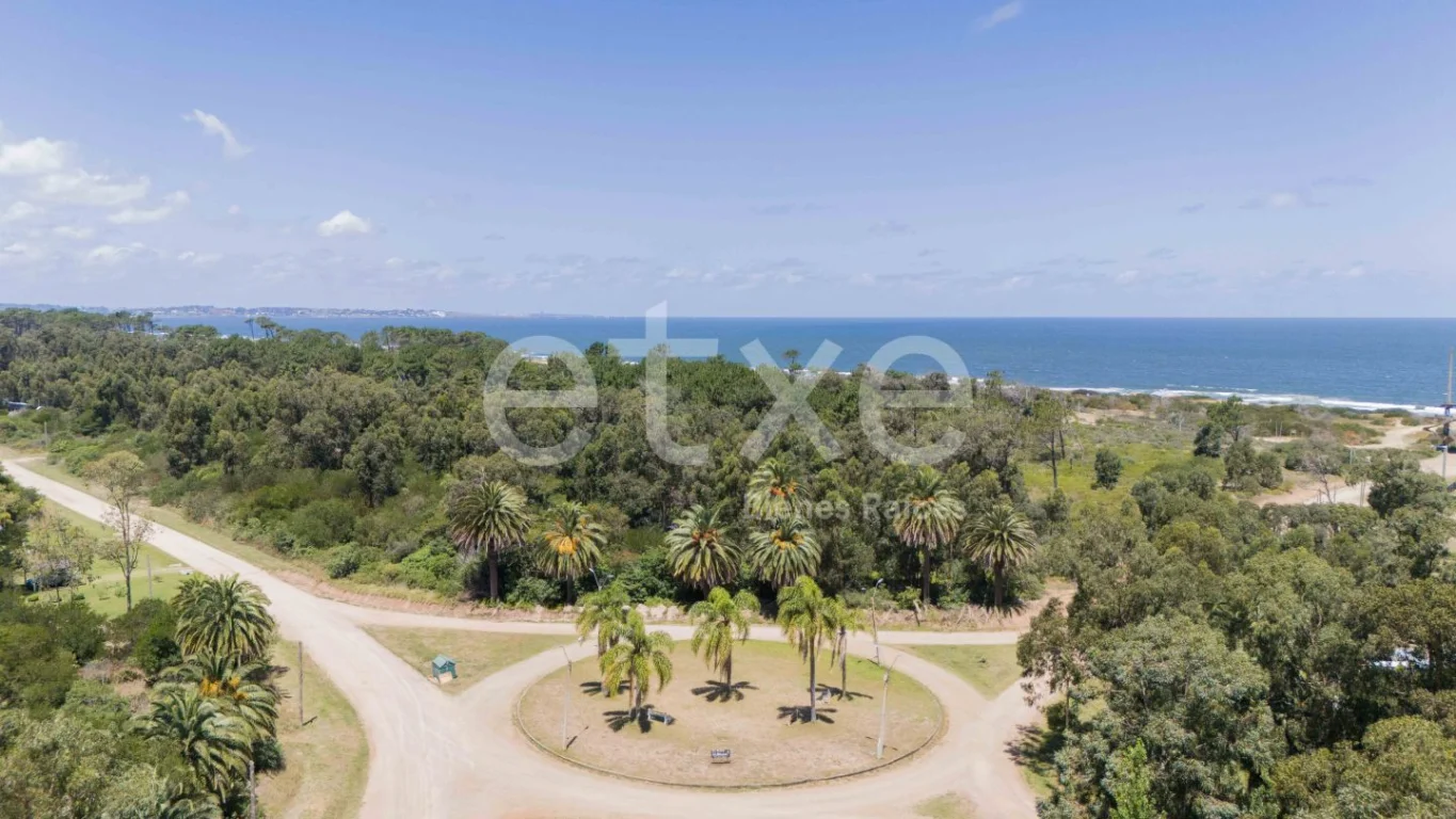 Terreno en Punta Ballena, propiedad 269062 -Imagen 8