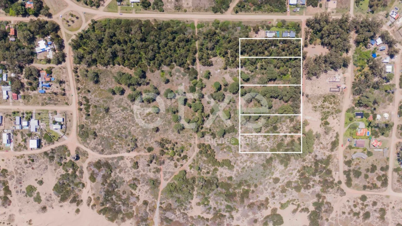 Terreno en Punta Ballena, propiedad 269063 -Imagen 3