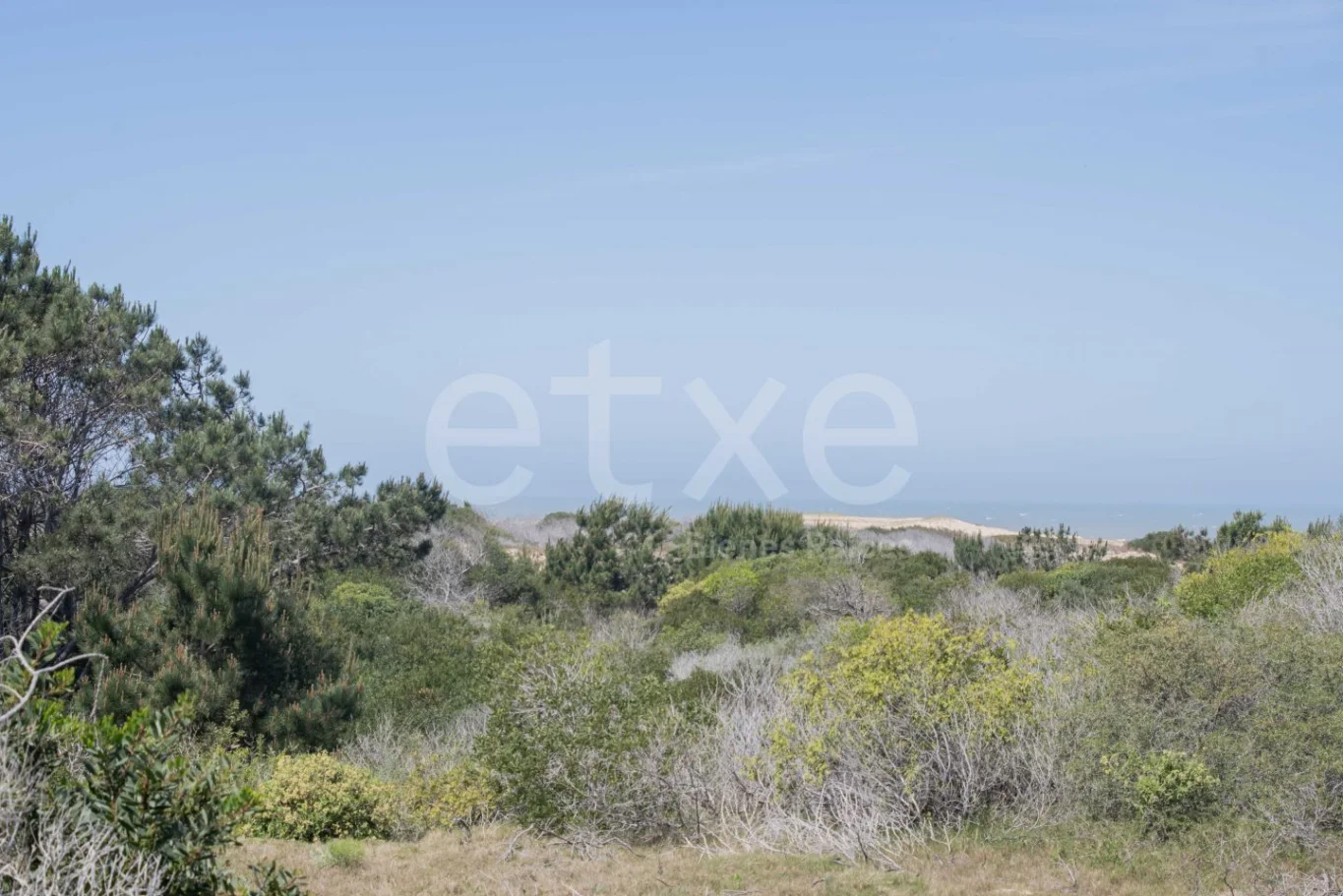 Terreno en La Pedrera, propiedad 284310 -Imagen 3