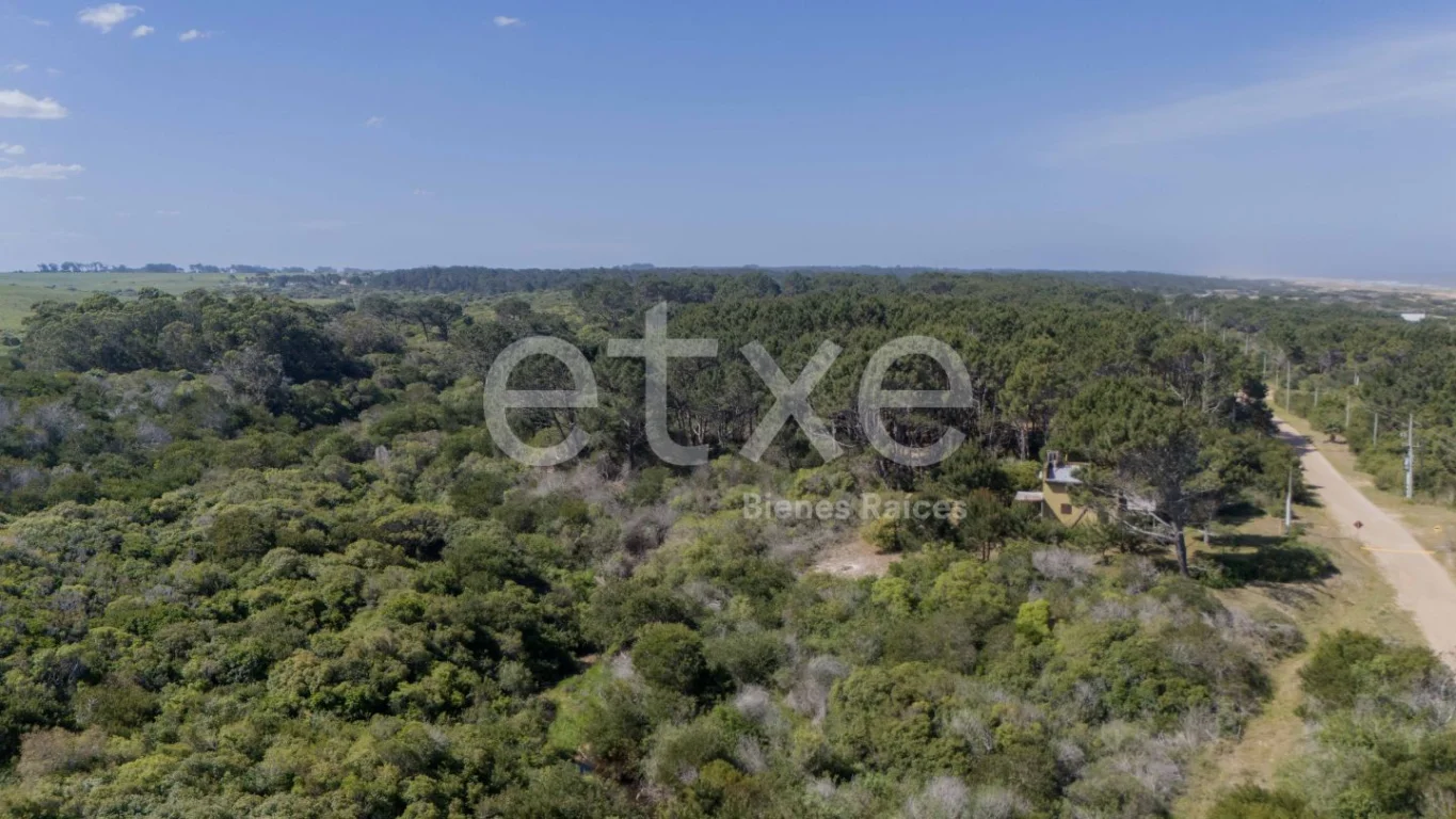 Terreno en La Pedrera, propiedad 284310 -Imagen 7