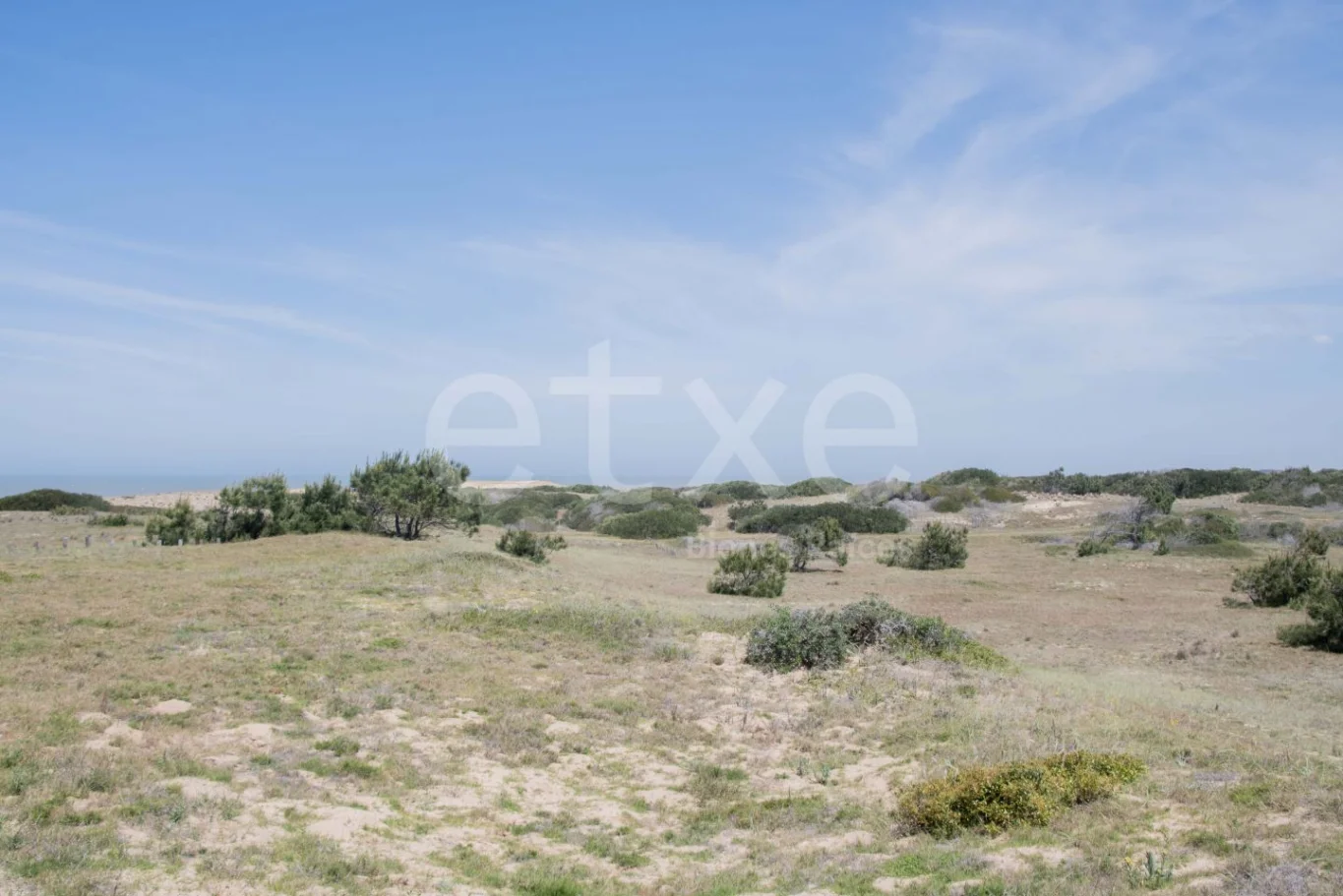 Terreno en San Antonio, propiedad 284311 -Imagen 5