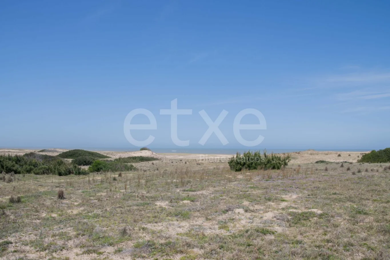 Terreno en San Antonio, propiedad 284311 -Imagen 6