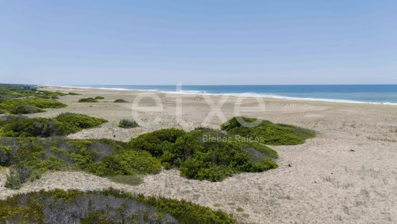 Terreno en La Pedrera, propiedad 284313 -Imagen 3