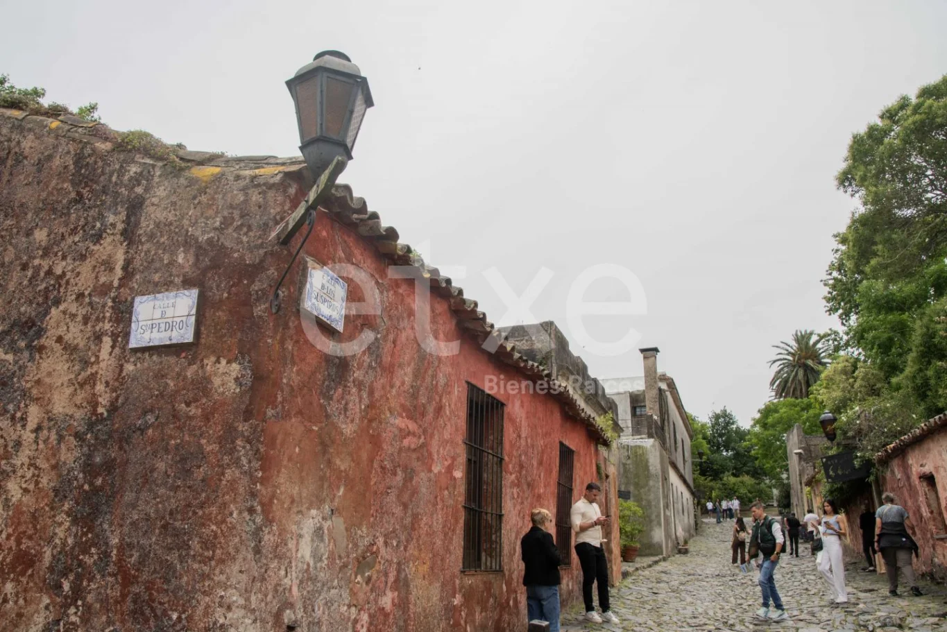 Terreno en Colonia del Sacramento, propiedad 284315 -Imagen 14
