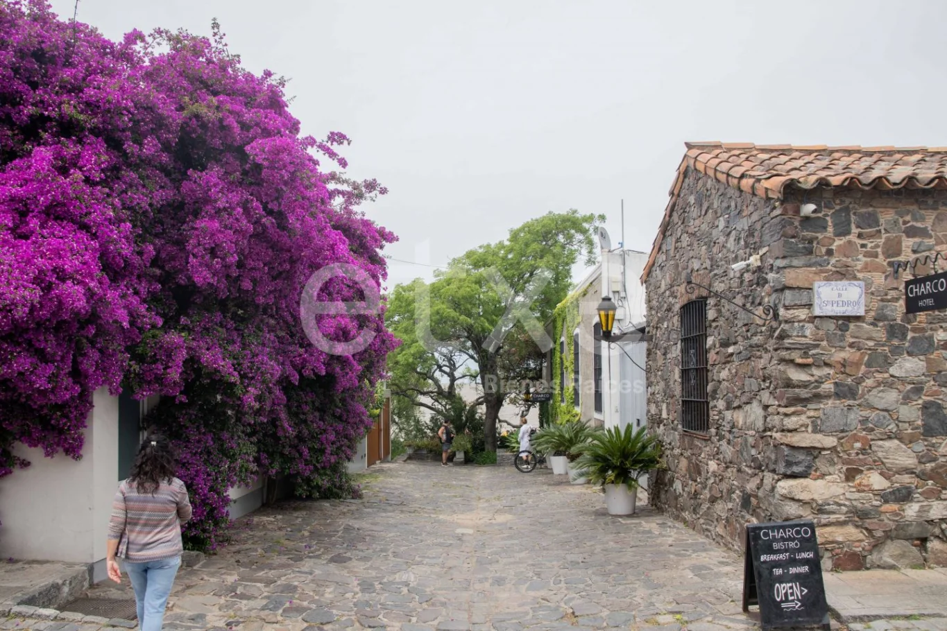 Terreno en Colonia del Sacramento, propiedad 284315 -Imagen 15