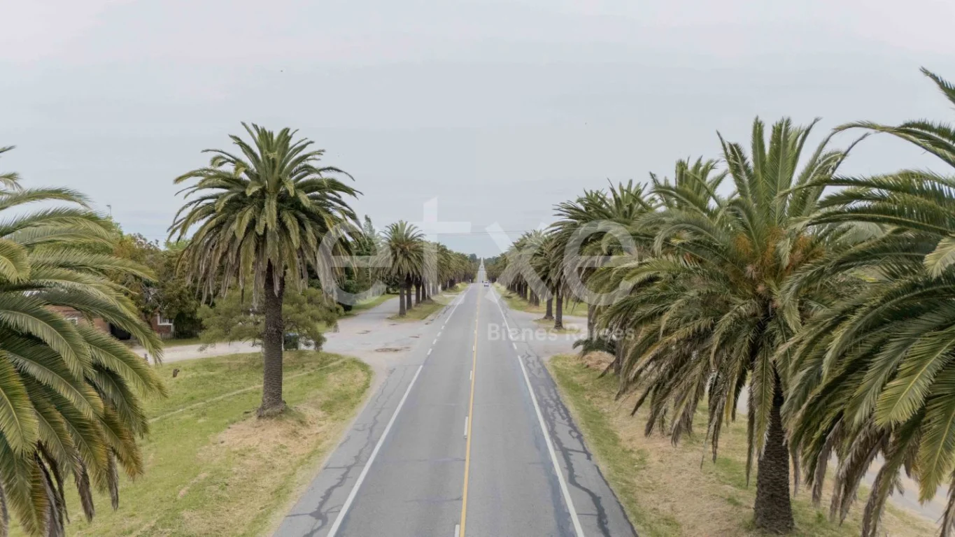 Terreno en Colonia del Sacramento, propiedad 284315 -Imagen 17