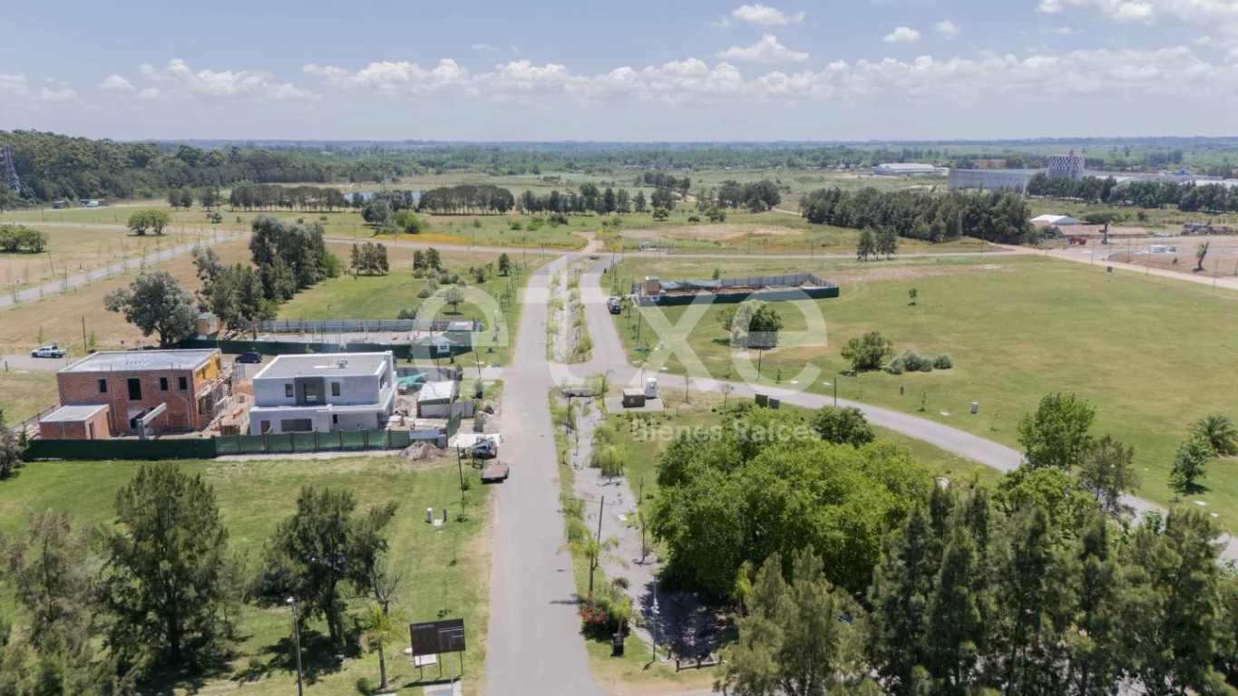 Terreno en San Nicolás, propiedad 284323 -Imagen 6