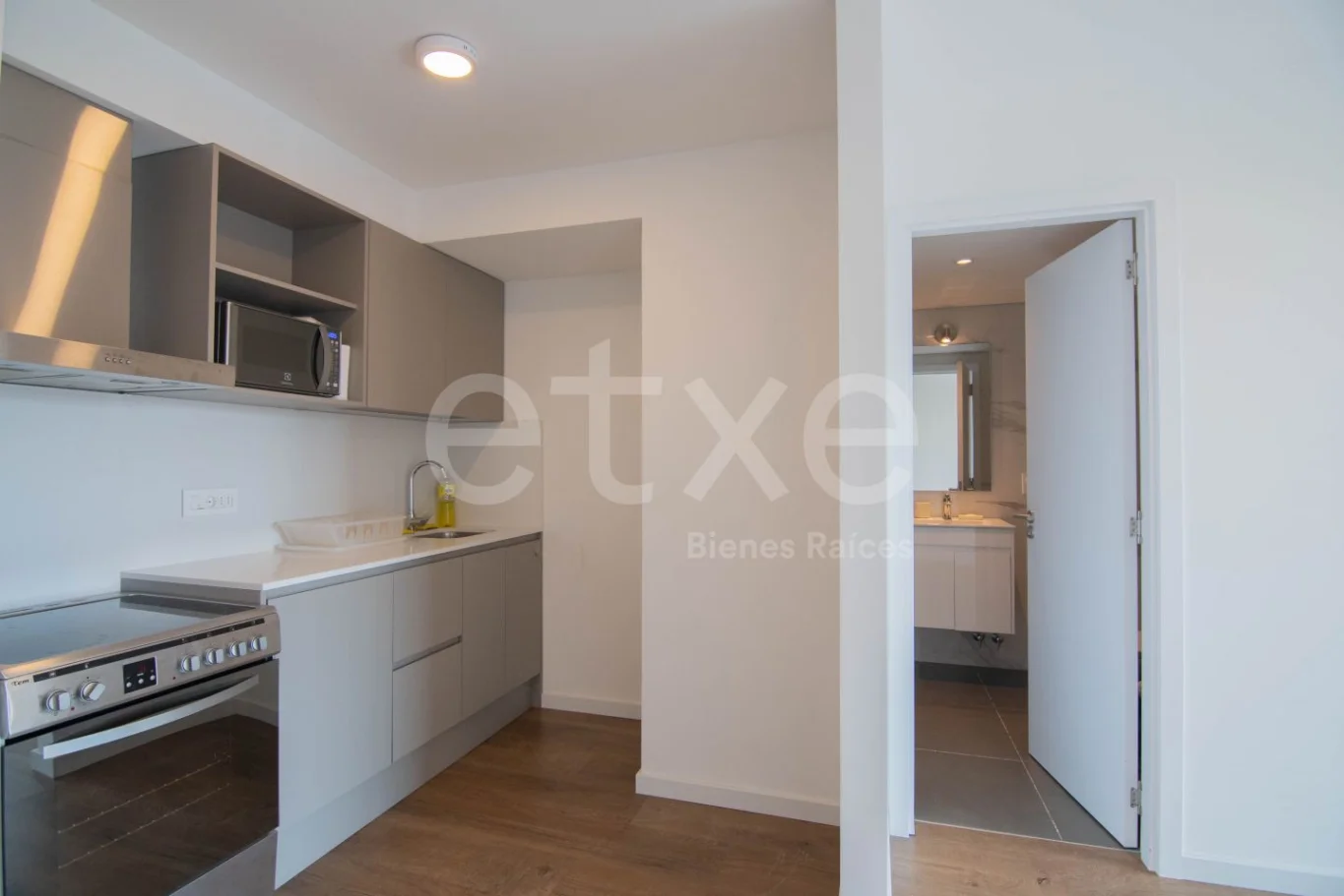 Apartamento en Parque Miramar, propiedad 297740 -Imagen 12