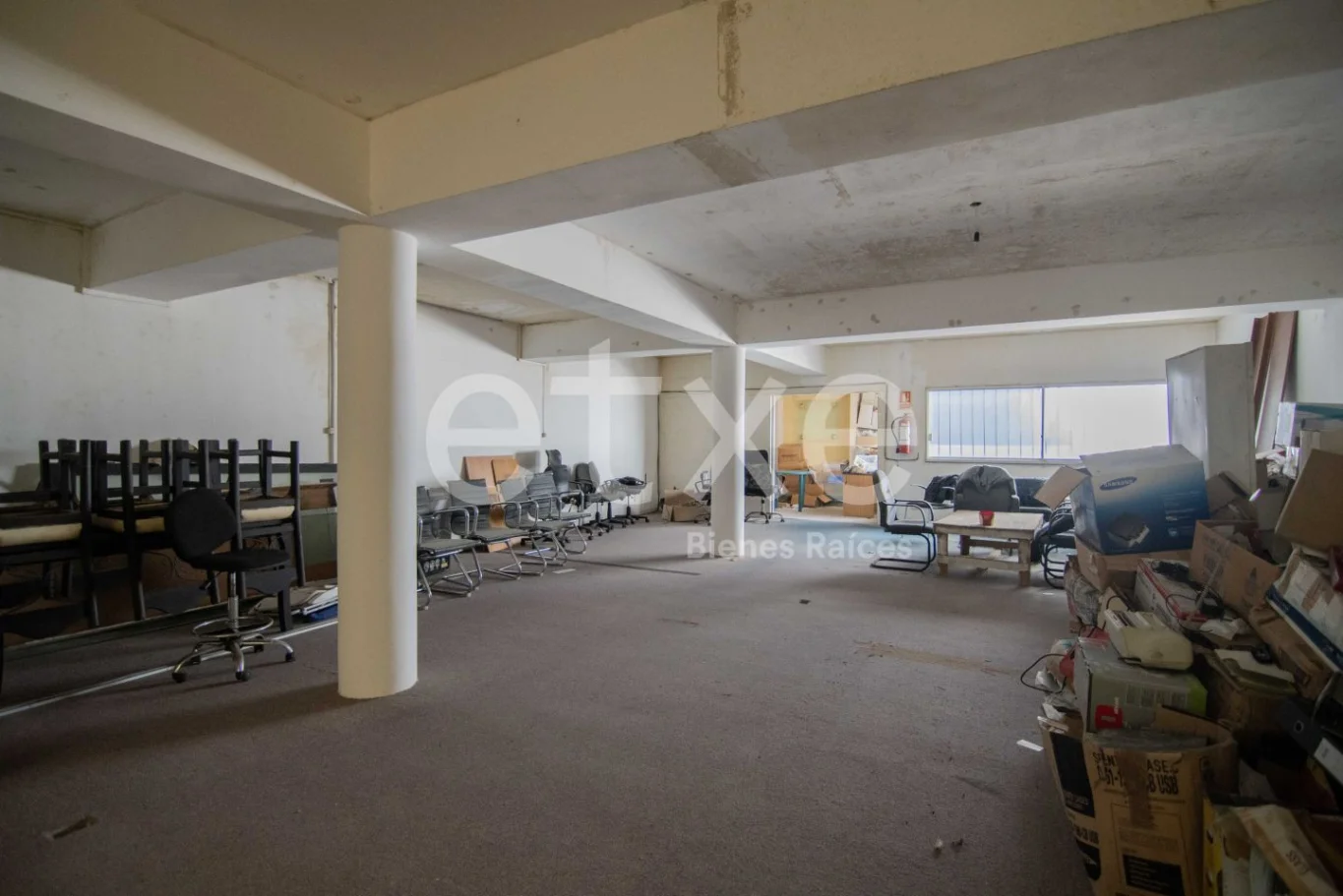 Local en Península, propiedad 298469 -Imagen 15