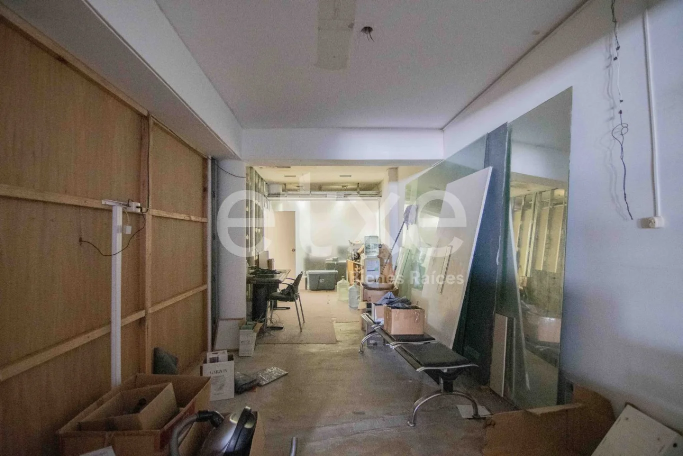 Local en Península, propiedad 298469 -Imagen 18