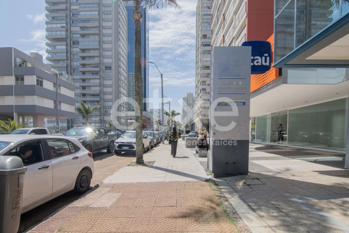 Local en Península, propiedad 298469 -Imagen 1
