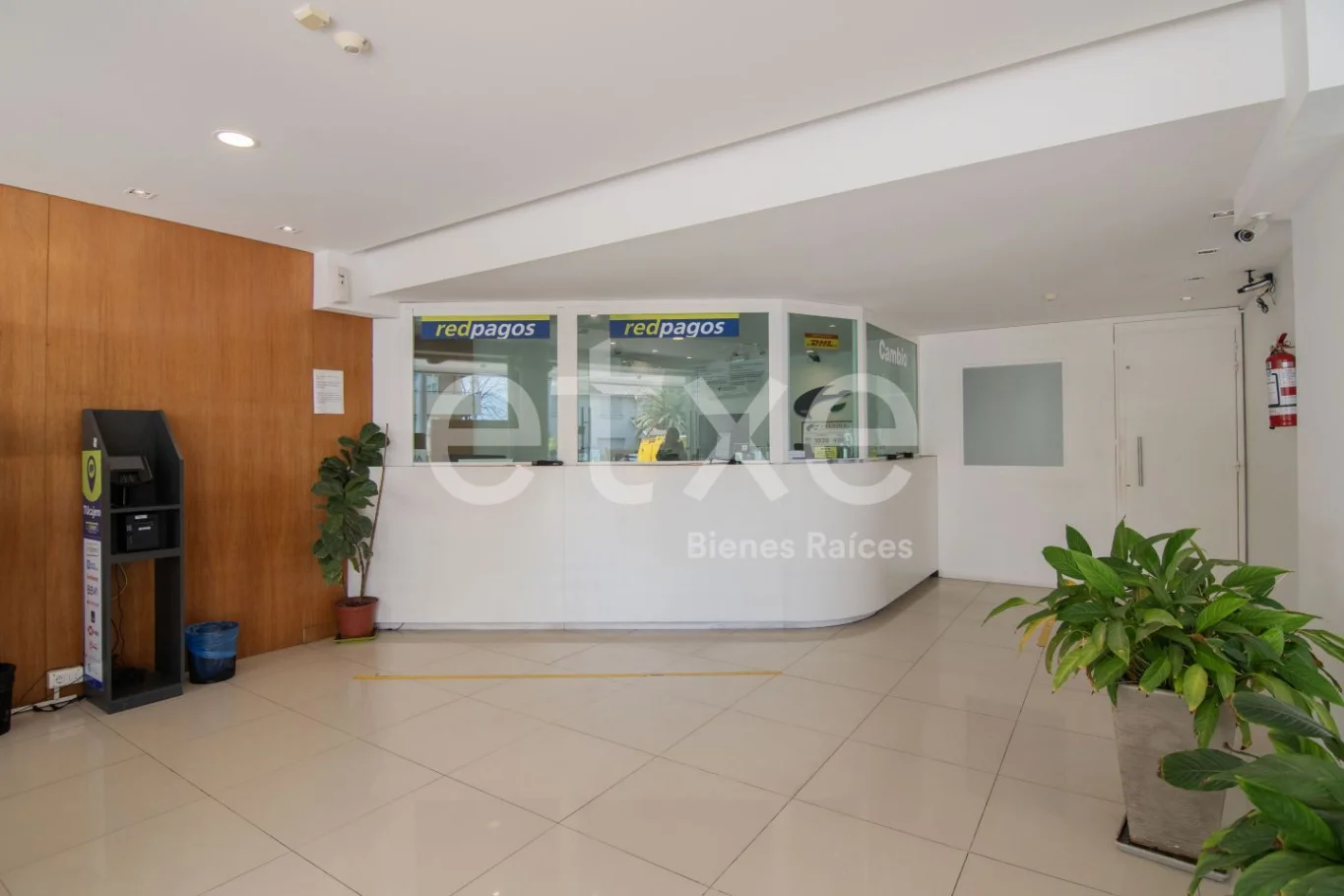 Local en Península, propiedad 298469 -Imagen 2
